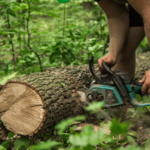 Tree Service